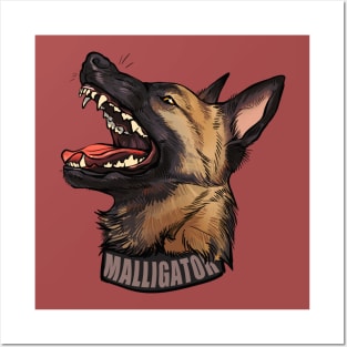 Malligator malinois Posters and Art